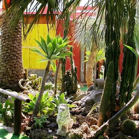 Hotel Franca 3*
